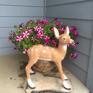 Meet your Posher, Sharon